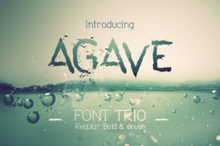 Agave Font Trio: A Practical Type Solution for Modern Design