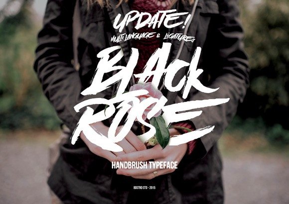 Black Rose: The Power of Intentional Contrast in Modern Design