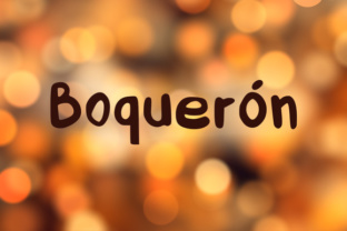 Boquerón: A Practical Guide to Integrating It into Your Workflow