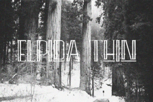 Elpida Thin: Practical Advice for Choosing and Using an Ultraportable