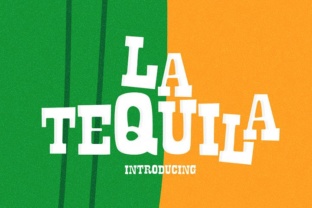 Evaluating La Tequila: A Framework for Informed Selection