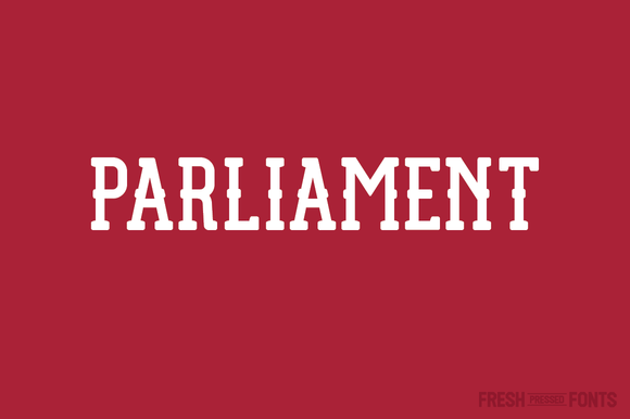 Evaluating Parliamentary Systems: A Practical Guide for Decision-Makers