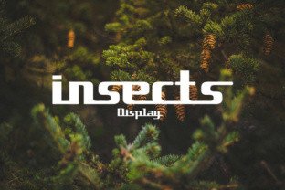 Insects