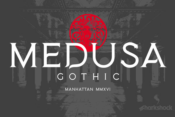 Medusa Gothic: A Detailed Look at Its Design, Uses, and Alternatives