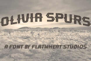 Olivia Spurs: A Practical Guide to Understanding Their Place in Western Footwear