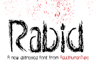 Rabid Enthusiasm: Harnessing Extreme Passion for Measurable Impact