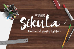 Sikula: An Objective Evaluation for Decision-Makers
