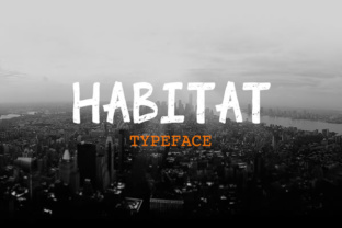 The Art of Building Your Creative Habitat