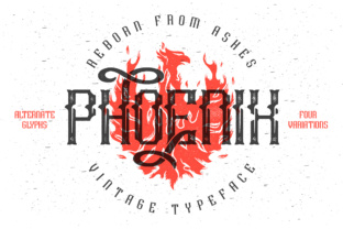 Why Phoenix Stands Out as a Modern Web Framework for Creators and Businesses